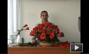 Cómo hacer un arreglo floral con rosas