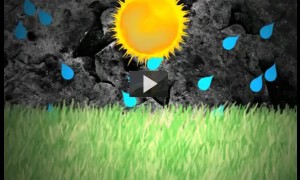 Cómo ahorrar agua en el jardín