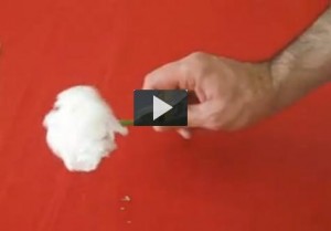 Cómo hacer un clavel de papel