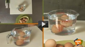 Cómo saber si los huevos son frescos