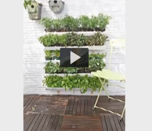 Cómo hacer un jardín vertical