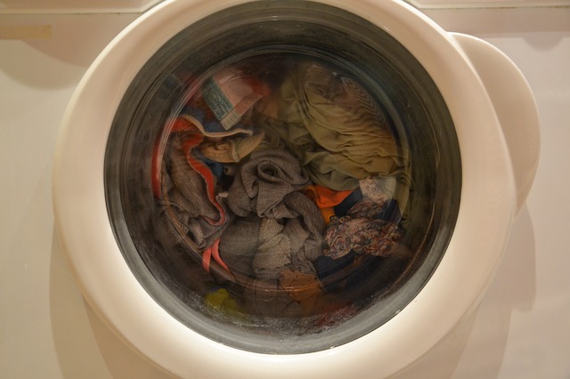 limpieza de la goma de la puerta de la lavadora
