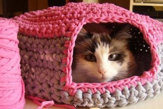 ¿Cómo hacer una cama para gatos casera?