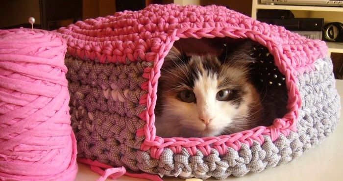 ¿Cómo hacer una cama para gatos casera?