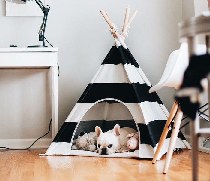 Camas para perros caseras paso a paso clearance