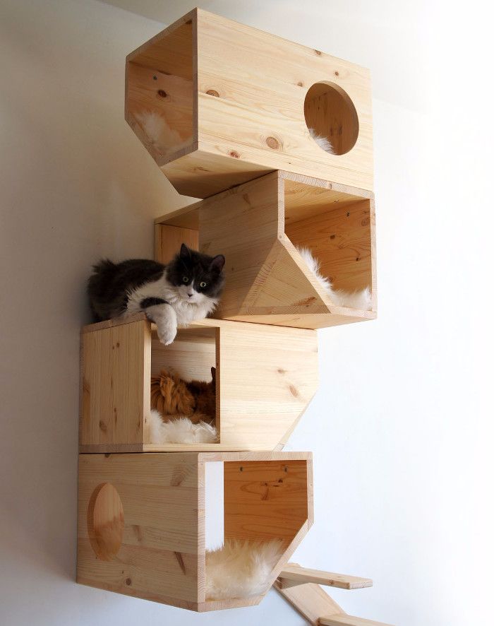 Las casas para gatos más originales