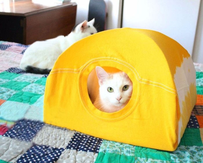 Ideas de camas para gatos con camiseta
