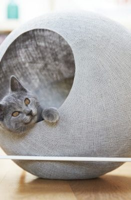 Los mejores muebles y accesorios para gatos