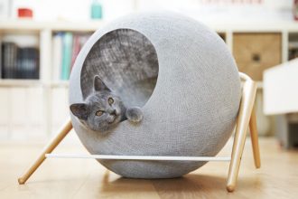 Los mejores muebles y accesorios para gatos