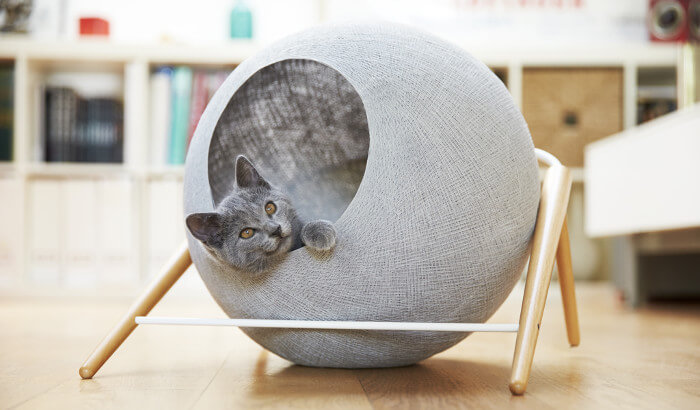 Los mejores muebles y accesorios para gatos