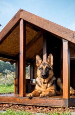 Las casetas para perros más originales