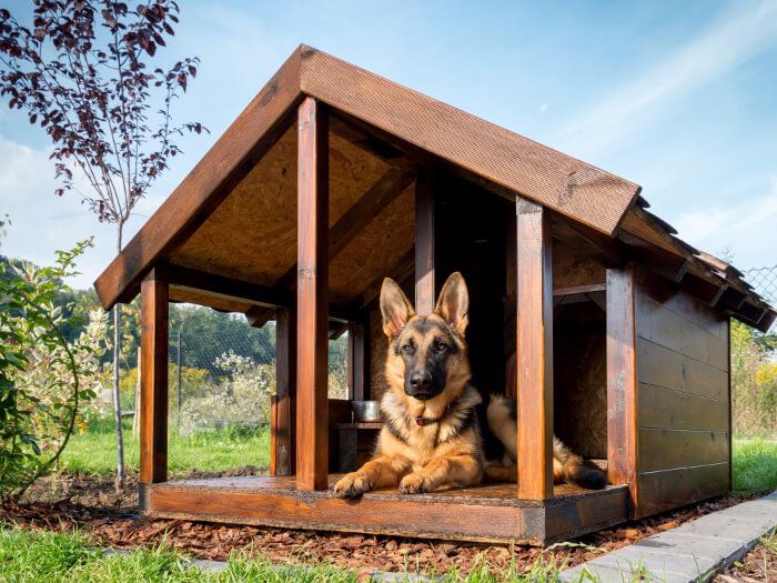 Las casetas para perros más originales