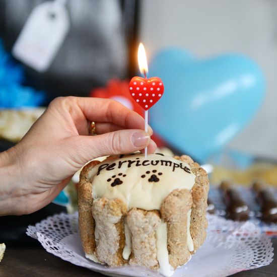 pastel-de-cumpleanos-para-perros