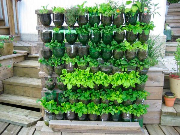 Trucos para de decoración de jardines con botellas