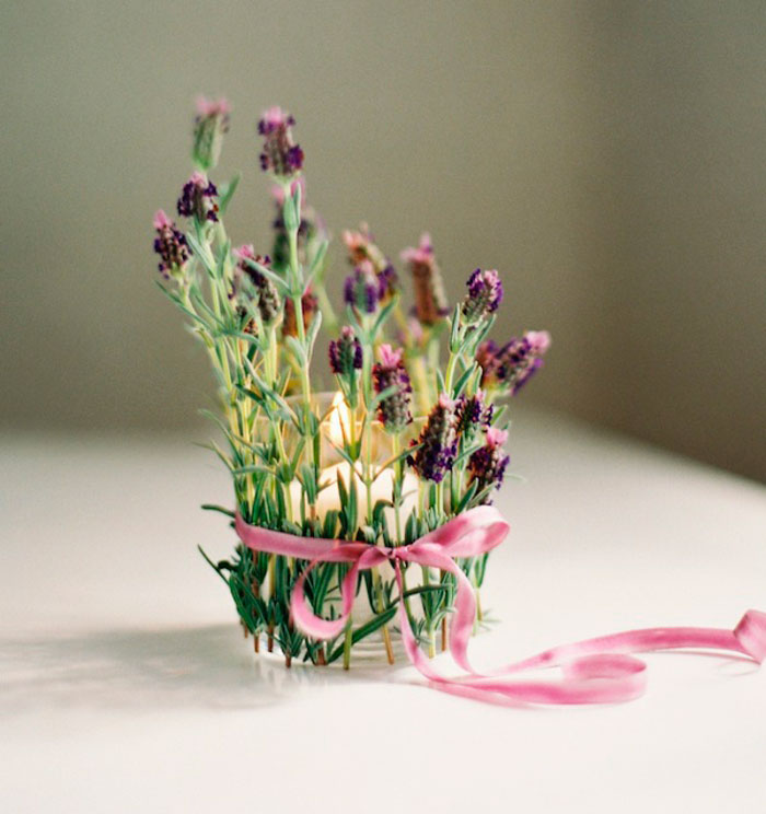 decorar-con-plantas-lavanda