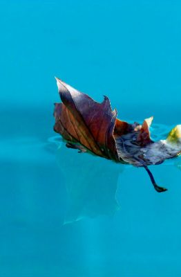 Cómo cambiar menos el agua de la piscina