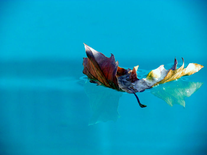 Cómo cambiar menos el agua de la piscina