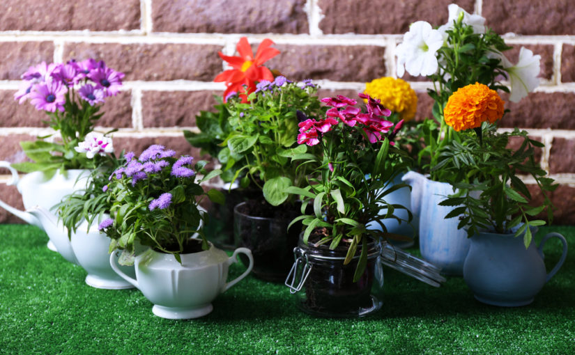 Cómo hacer un jardín casero de flores