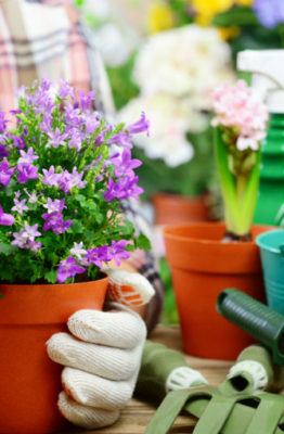 Cómo hacer un jardín de flores en casa