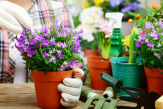 Cómo hacer un jardín de flores en casa