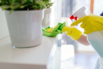 Cómo eliminar el polvo de casa