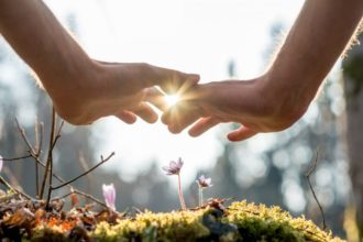 Proteger las plantas de las altas temperaturas