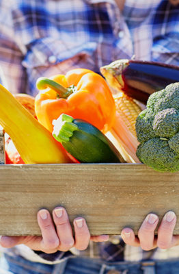 Verduras para cada temporada