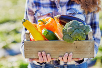 Verduras para cada temporada