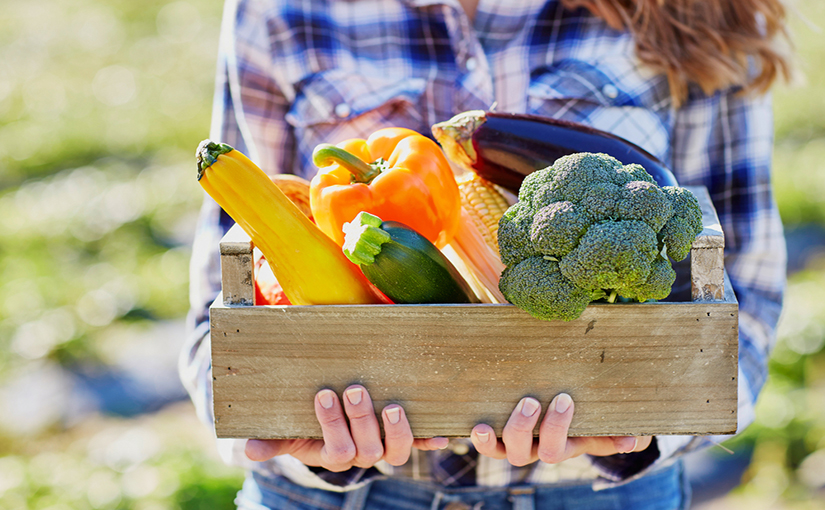 Verduras para cada temporada