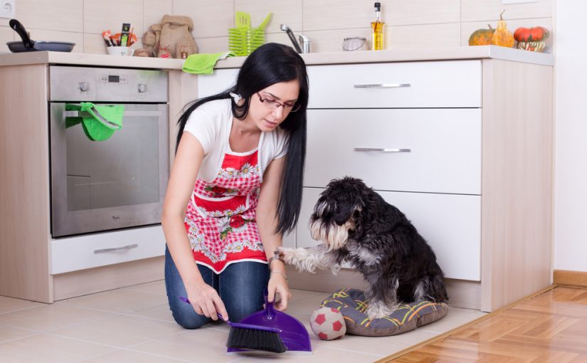 Trucos para eliminar los pelos del perro