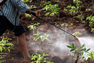 Pesticidas que no contaminen