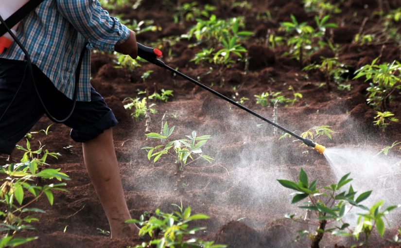 Pesticidas que no contaminen