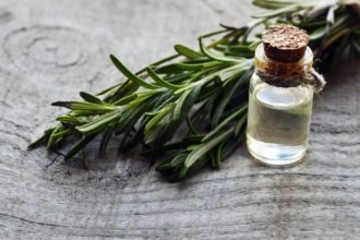 Consejos para cultivar romero