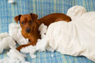 Ideas para reciclar almohadas