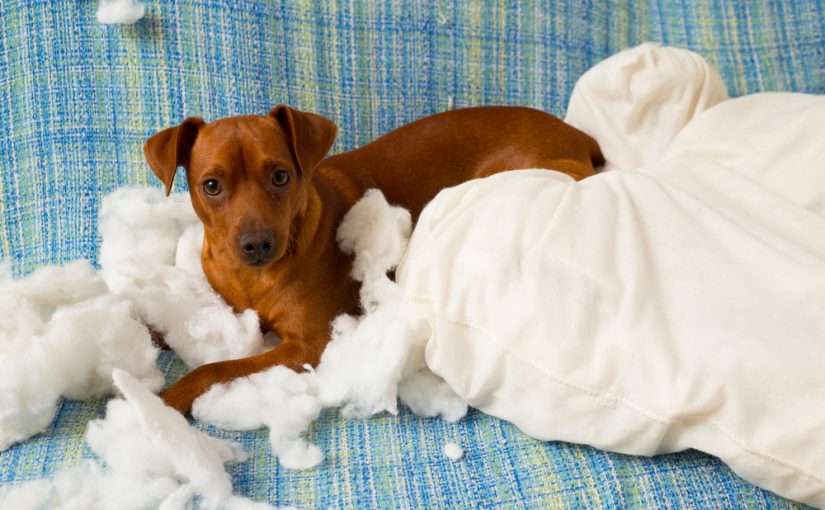 Ideas para reciclar almohadas