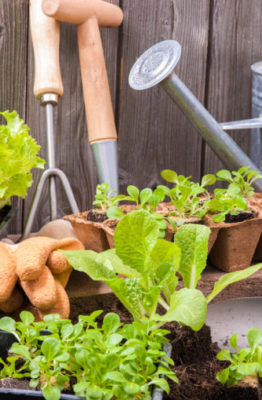 Herramientas de jardinería