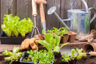 Herramientas de jardinería