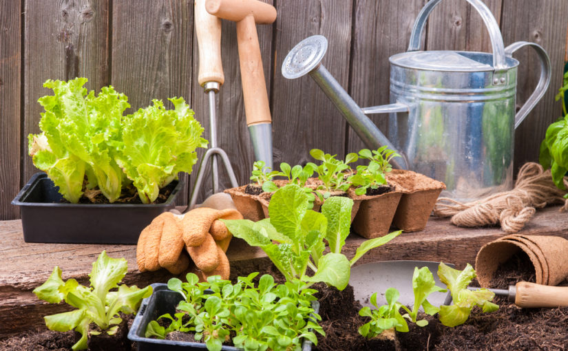 Herramientas de jardinería