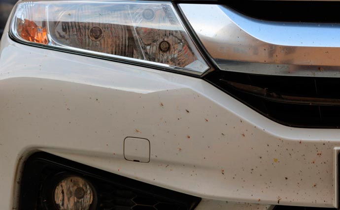 Trucos para quitar los mosquitos del coche