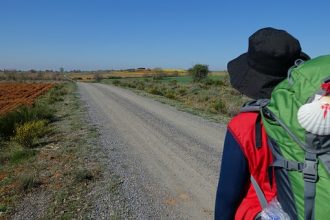 Camino de Santiago organizado