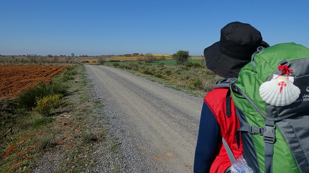 Camino de Santiago organizado