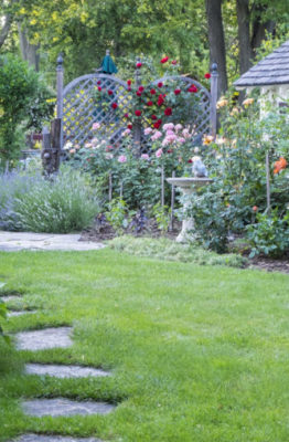 Cómo organizar el jardín