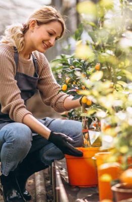 Claves para renovar tu jardín y prepararlo para primavera