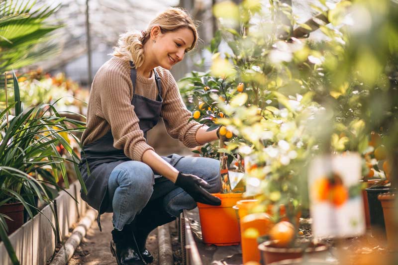 Claves para renovar tu jardín y prepararlo para primavera